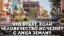 Что будет, если человечество исчезнет с лица Земли DeeaFilm