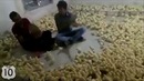 Топ дня:Мужики и Цыплята