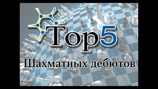 Шахматы с Александром Зайцевым