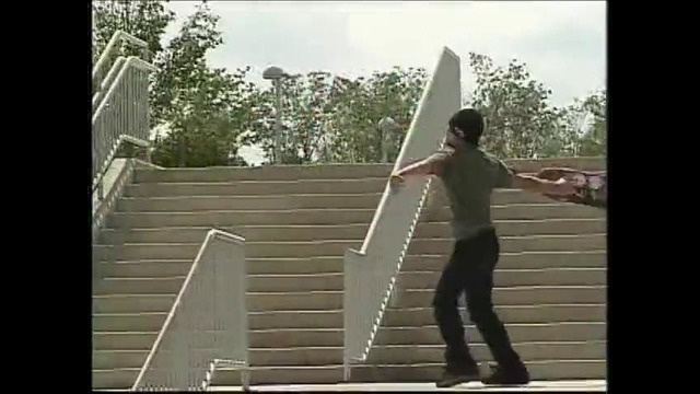 Bam Margera Skateboard 2
