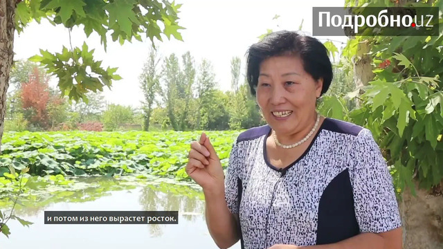 В Узбекистане появилась уникальная достопримечательность – первое озеро с лотосами