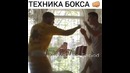 Техника бокса от Короля Дублина