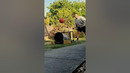 Bottle cap, bin, and pure genius! #trickshots