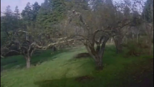 Джо Роган – Реальность