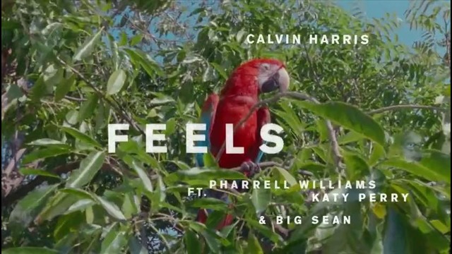Calvin Harris ft. Pharrell Williams, Katy Perry, Big Sean – Feels (Audio Preview)