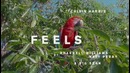 Calvin Harris ft. Pharrell Williams, Katy Perry, Big Sean – Feels (Audio Preview)