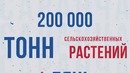 ЧТО ЕСЛИ животные начнут войну против человечества