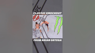 CLASSIC Brian Ortega Knockout Highlight #mma #ufc #shorts