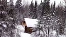 Хижина в глуши