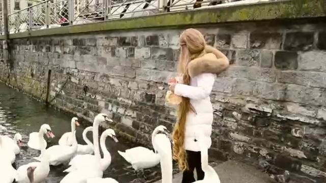 How to make a swan love you