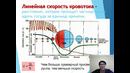 Unit 46 Физиология сосудистой системы