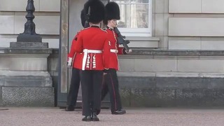 Часовой у Букингемского дворца оконфузился перед толпой туристов