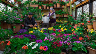 Готовим узбекский ханум с говядиной и сажаем цветы