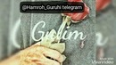 Hamroh guruhi – gulim