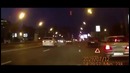 Гони галимый