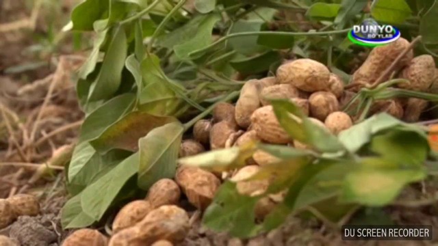 Яшил сайёра кўрсатуви Органик қишлоқ хўжалиги ҳақида