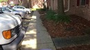 Сколько денег нужно на переезд в США. Выиграли Грин Карту. Переезд с детьми в СШ