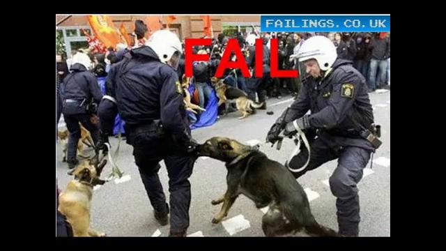 Police Fails (High class)