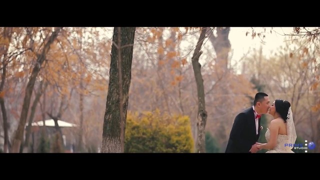 Петр и Ирина. Шикарная свадьба