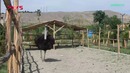 Andijon parkida bo’lganmisiz