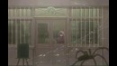 Ivy Tear – AMV