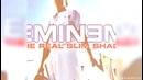 EMiNEM ft. Sia Guts Over Fear (Unofficial Video)