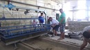 Запуск линии по производству газобетона резка массива. «АлтайСтройМаш»