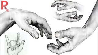Тест Что говорит о вашем характере длина пальцев руки