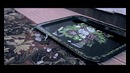 Вина (авторская короткометражка)