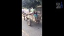 Лучшие приколы 2018 [Fun Army] Июль