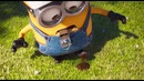 Миньоны против газона | Mower Minions