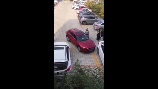 Навыки парковки 100 уровня