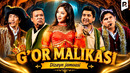 Dizayn jamoasi – G’or malikasi