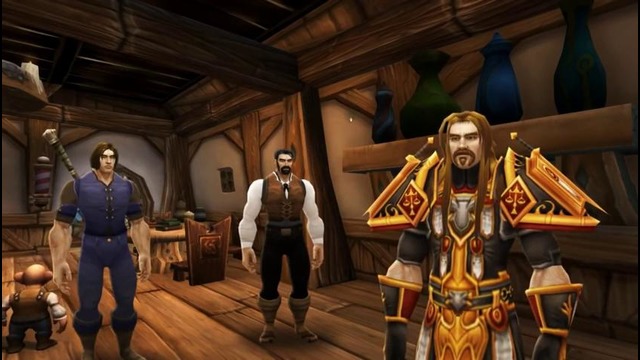 World of Warcraft – Каково быть Паладином