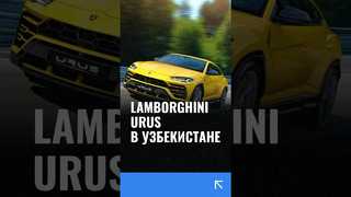 Сколько стоит новый Lamborghini Urus в Узбекистане