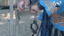 БОГАТЫРЬ из Донбасса – Дмитрий Халаджи – Самый СИЛЬНЫЙ Человек в МИРЕ