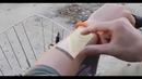 Ручной проецируемый сенсорный экран