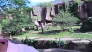 Узбек в Зоопарке Чикаго