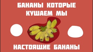 Мрачная правда о бананах
