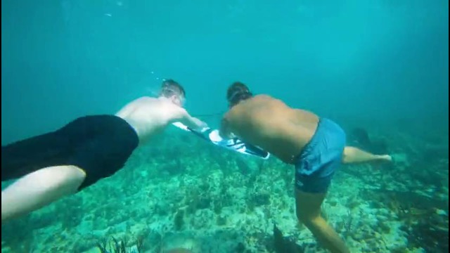 Flying Underwater! – Subwing