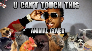 MC Hammer – U Can’t Touch This (Animal Cover)