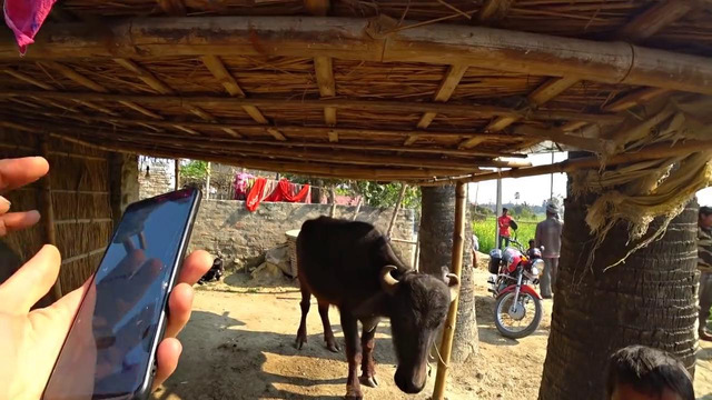 Как живут простые люди в Индии и чем зарабатывают на жизнь в соломенных домах