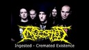 Slamming Brutal Death Metal Compilation