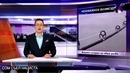 Сом съел нациста