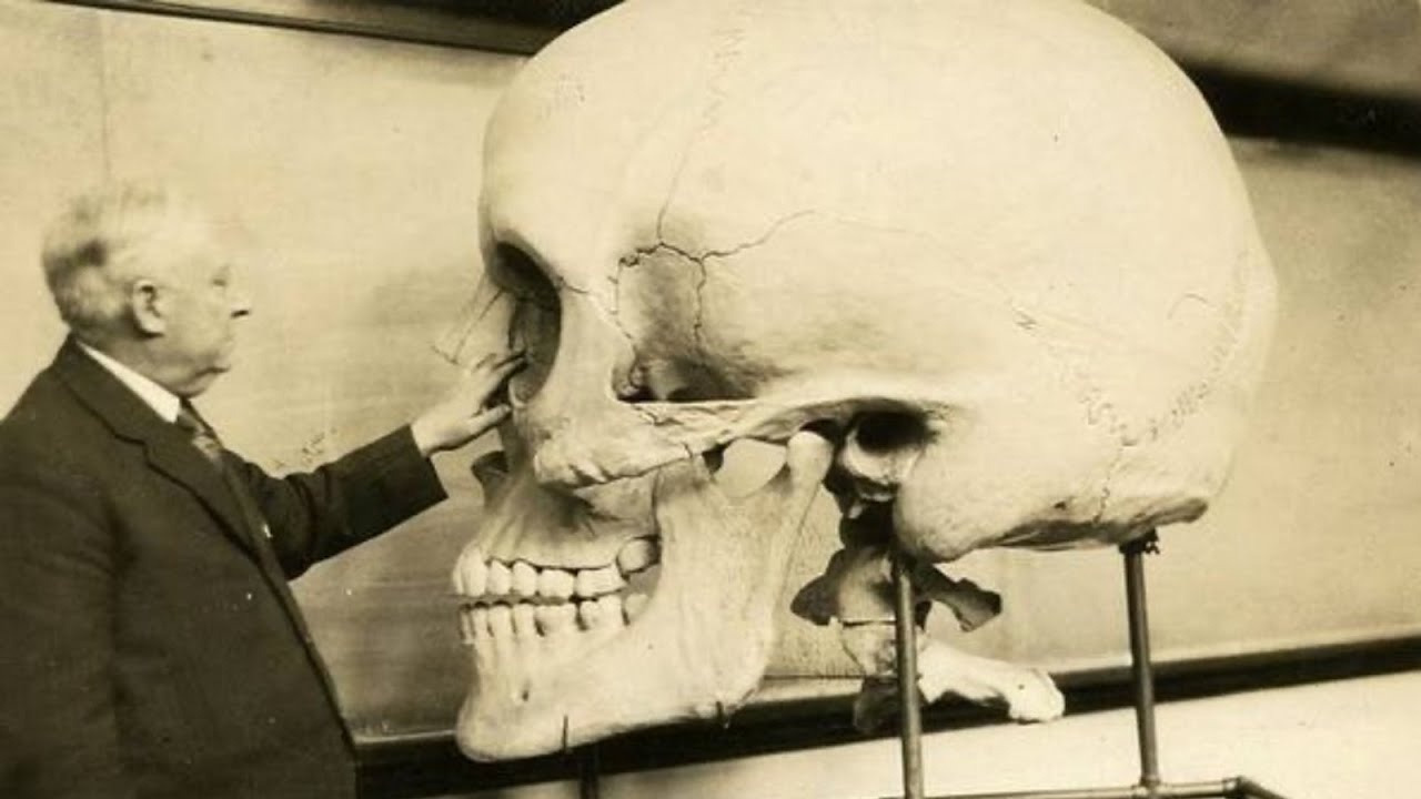 Nephilim Lamedh