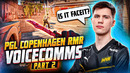 NAVI Voicecomms at PGL CS2 Major Copenhagen 2024 RMR | Part 2