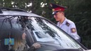 Патруль 3 – Мура оформитель