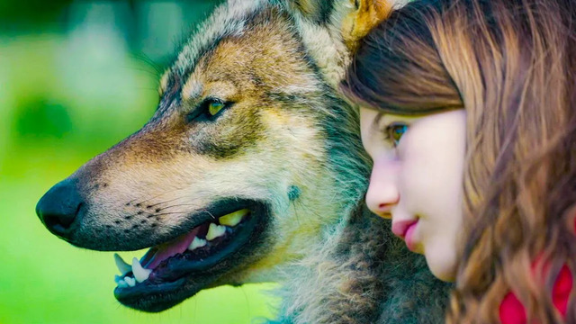 Мой волк – Русский трейлер – Фильм 2021