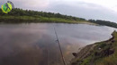 Ловля судака на джиг с берега