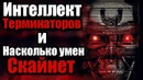 Интеллект терминаторов. насколько умён скайнет